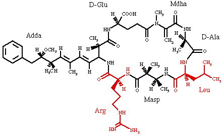 |A diagram of microcystin-LR|
